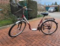 Damen Fahrrad 28 Zoll Sturmey Archer Nordrhein-Westfalen - Hörstel Vorschau