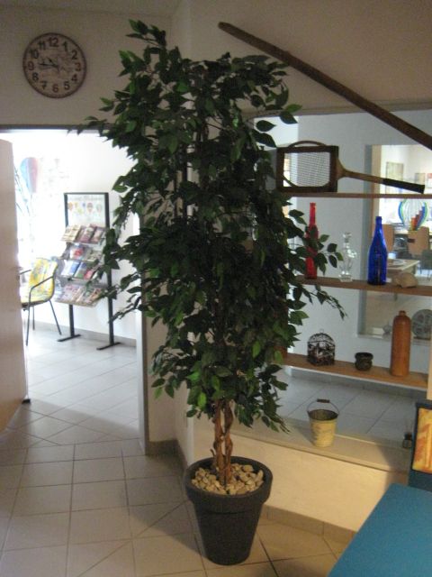 Palme Pflanze Deko Blume Kunstpflanze Topfblume in Niedersachsen -  Isenbüttel | eBay Kleinanzeigen ist jetzt Kleinanzeigen