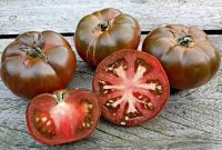 Baby Tomatenpflanzen MARMANDE ähnlich Ochsenherzen LECKER! Berlin - Charlottenburg Vorschau