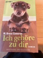 Buch Ich gehöre zu dir Nordrhein-Westfalen - Anröchte Vorschau