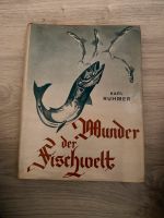 Wunder der Fischwelt Karl Rühmer fischen angeln Literatur Rheinland-Pfalz - Weinsheim (Kr Bad Kreuznach) Vorschau