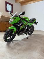 Kawasaki Ninja 125 2019 Wiesengrund - Gahry Vorschau