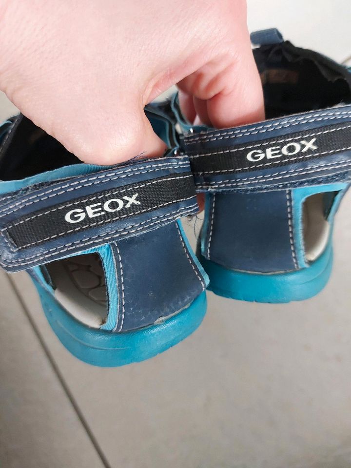 Geox Sandalen in Wesseling