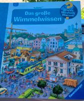 Das große Wimmelwissen. Wieso weshalb warum Baden-Württemberg - Ingersheim Vorschau