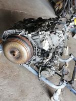 Motor P9X von Renault 3,0 dci für Espace  o. Vel Santis o. andere Bayern - Rednitzhembach Vorschau