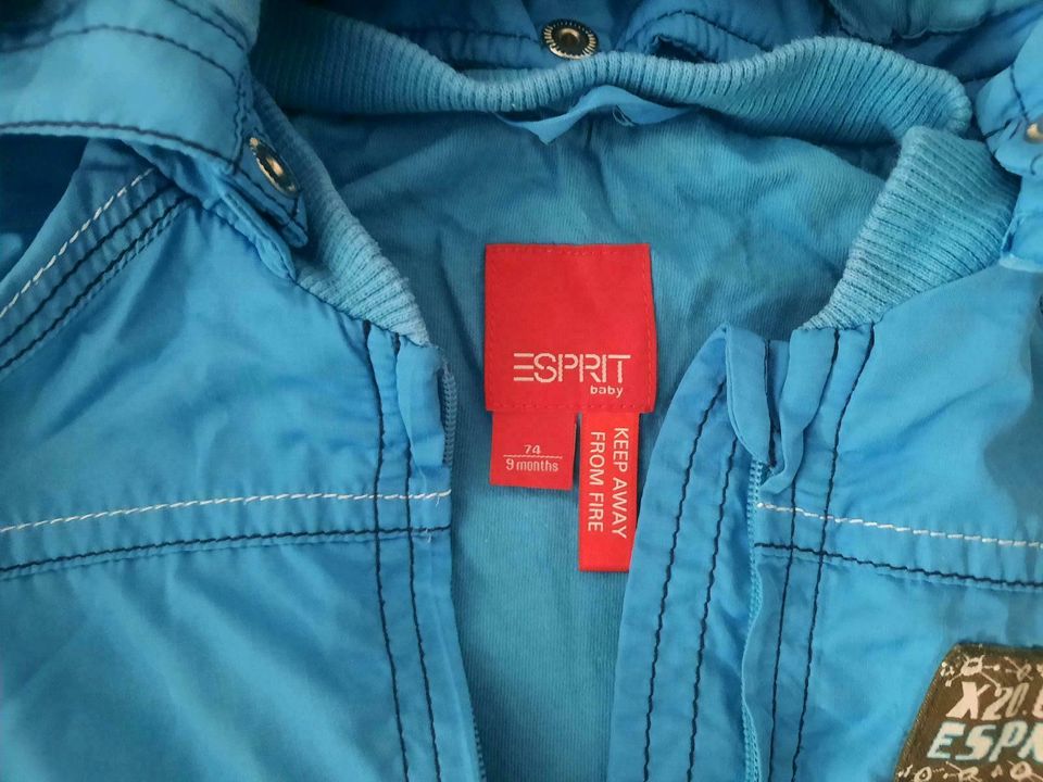 Esprit Jacke Gr.74 in Nittendorf 