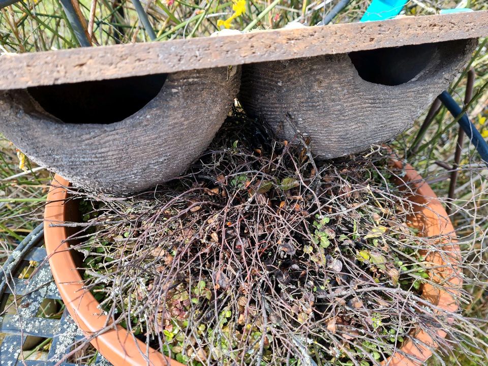 Mehlschwalbendoppelnistkasten in Bad Arolsen