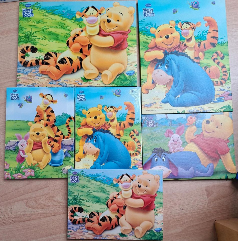 Winnie Pooh Leinwände in Niedenstein