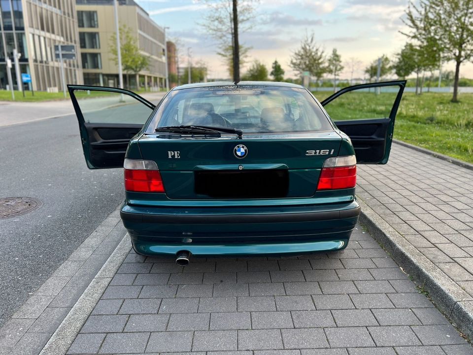 BMW 316 ti M Sport in Essen