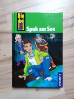 Die 3 !!! "Spuk am See", Buch Niedersachsen - Friedeburg Vorschau