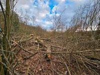 (Brenn-)Holz an Selbstabholer:innen Hessen - Bebra Vorschau