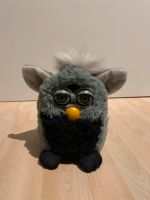 Furby Schwarz/Grau Schleswig-Holstein - Altenholz Vorschau