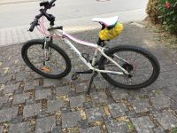 MTB JUGEND Carver PHT 26“ Hessen - Eltville Vorschau