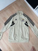 Adidas Benfica Jacke Gr. 152 Bayern - Meitingen Vorschau