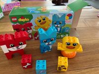 Lego Duplo My first Puzzle Pets 10858 Nordrhein-Westfalen - Kreuzau Vorschau