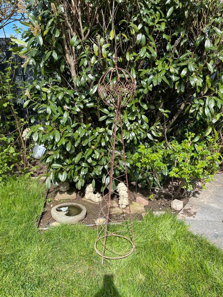 Rosensäule Obelisk Eisen 145-155 cm Rankhilfe Rosen-Gitter in Kamp-Lintfort