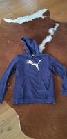 Puma Hoodie Bayern - Rosenheim Vorschau