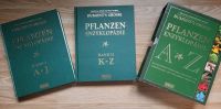 Pflanzen Enzyklopädie Dresden - Trachau Vorschau