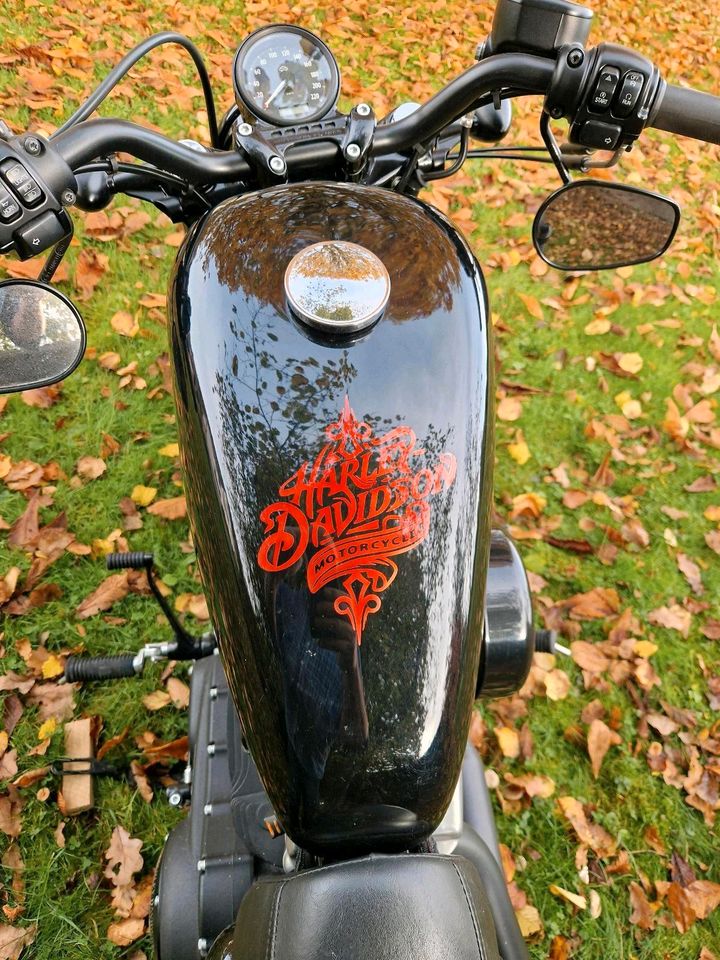 Harley Davidson in Eitorf