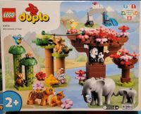 LEGO duplo Wild Animals of Asia 10974 neuwertig Sachsen - Bernsbach  Vorschau