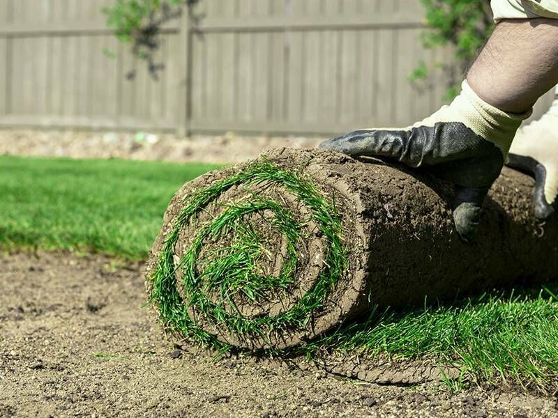 Dauer Gartenpflege in Vlotho