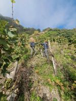 Arbeit Suchen Saarbrücken-Halberg - Brebach-Fechingen Vorschau