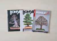 Bonsai Magazin Zeitung Bayern - Würzburg Vorschau