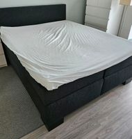 Boxspringbett anthrazit inkl. Topper Nordrhein-Westfalen - Castrop-Rauxel Vorschau