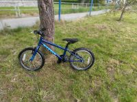 Vitus 16 Zoll (kania, kubikes) Sachsen - Bernstadt auf dem Eigen Vorschau