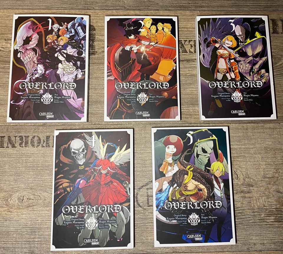 Overlord 1-5 in Hildesheim