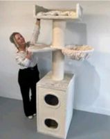 Kratzbaum für große Katze Maine Coon Tower box comfort Beige Nordrhein-Westfalen - Rüthen Vorschau