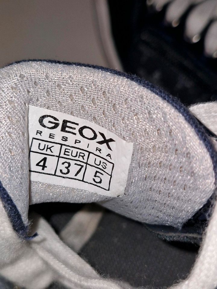 Geox Sneaker in Größe 37 in Unna