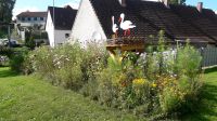 Storchennest  storch Baden-Württemberg - Laupheim Vorschau