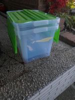 Plastik Kisten mit Deckel Nordrhein-Westfalen - Ruppichteroth Vorschau