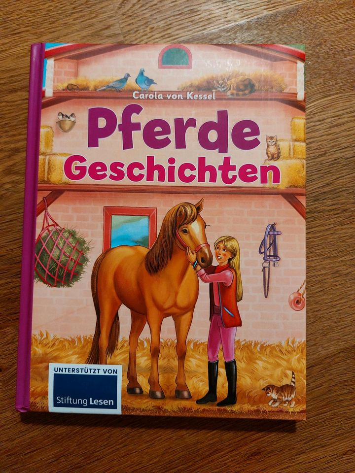 Buch Pferdegeschichten ab 4 Jahre in Lägerdorf