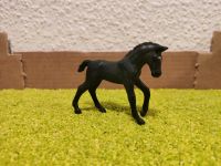 Schleich Tiere Pferd Trakehner Fohlen Ostwind Schleswig-Holstein - Kellinghusen Vorschau