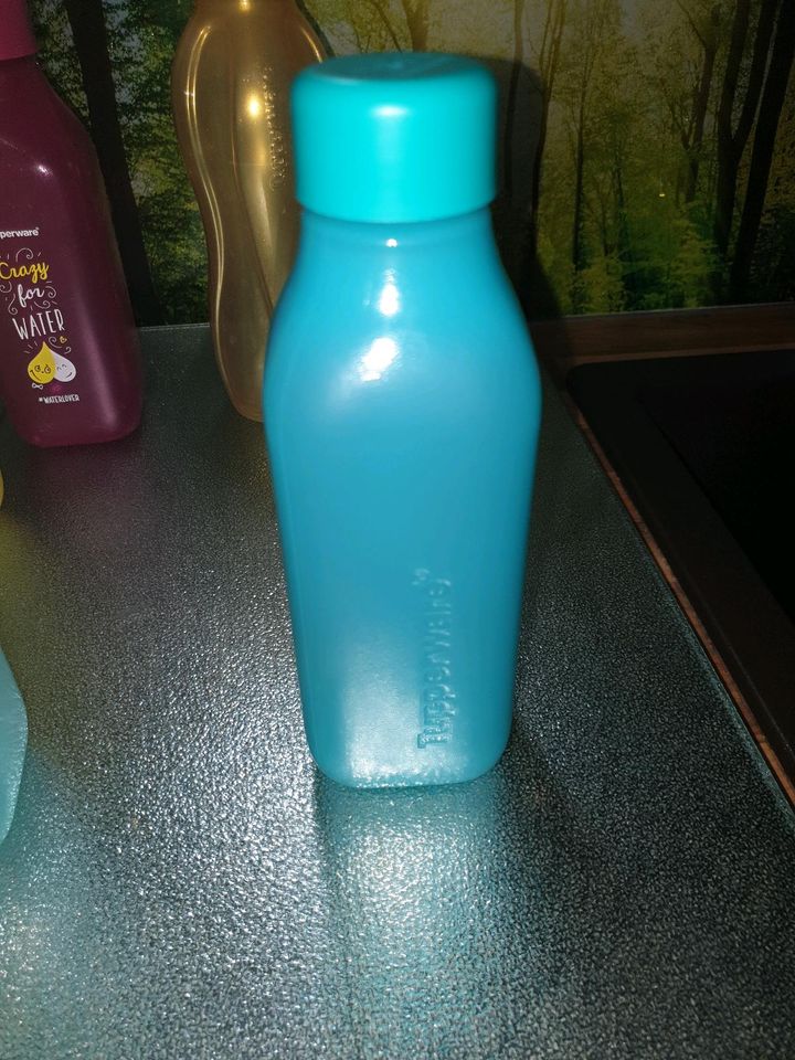 Tupperware Trinkflasche 500 ml -> reduziert in Riedstadt