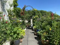 Dachterrasse mit Panoramablick Hessen - Königstein im Taunus Vorschau