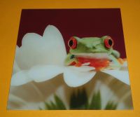 Glasbild Frosch auf Blume- ca. 50 × 50 cm Essen-West - Frohnhausen Vorschau