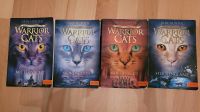 Warrior Cats Staffel 2 Band 1 - 4 Bayern - Großaitingen Vorschau