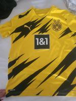BVB Trikot Hessen - Wiesbaden Vorschau
