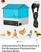 Brustautomat für 4 Eier Sachsen - Großschweidnitz Vorschau