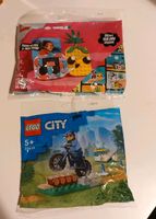 Lego Polybag Neu und OVP Polizei 30638 Ananas 30560 Essen - Schonnebeck Vorschau