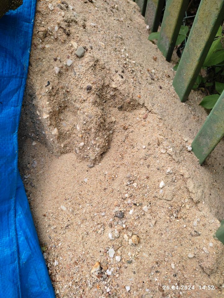 Estrichstand Sand Sandkasten in Willich