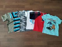 Gr. 116 T-Shirts Dinos, Nemo,Knuddelbär, Army, Topino Sachsen-Anhalt - Gräfenhainichen Vorschau