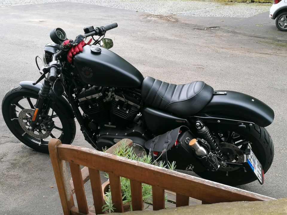 Harley Davidson Iron 883 in Edertal