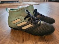 Adidas Stollenschuhe Fussballschuhe Größe 35,5 Nordrhein-Westfalen - Espelkamp Vorschau