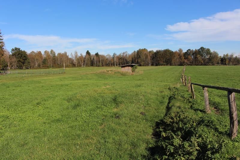 Grundstück ohne Baurecht mit Holzhütte und Bachlauf - gute Zufahrt im Weilheimer Moos in Weilheim