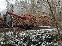 Waldarbeit Durchforstung Forstarbeiten Bayern - Frensdorf Vorschau
