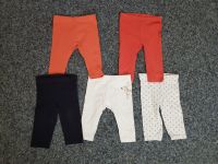 Set: Leggings / Hosen in Größe 62/68 Bayern - Gersthofen Vorschau